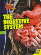 How the Human Body Works Digestive System