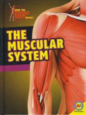 How the Human Body Works Muscular System