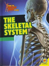 How the Human Body Works Skeletal System