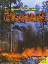 Natural Disasters Wildfires