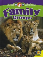 Animal Adaptations Family Groups