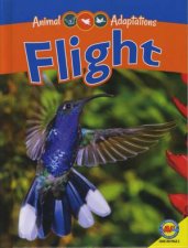 Animal Adaptations Flight