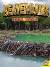 Natures Engineers Beaver Dams