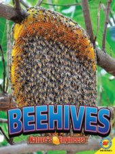 Natures Engineers Beehives