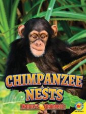 Natures Engineers Chimpanzee Nests