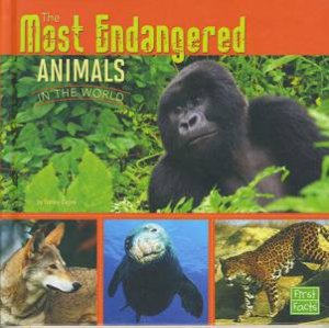 All About Animals: Most Endangered by Tammy Gagne