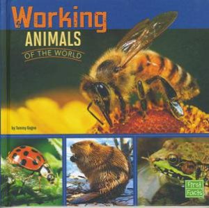 All About Animals: Working Animals by Tammy Gagne