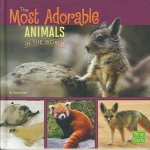 All About Animals Most Adorable Animals