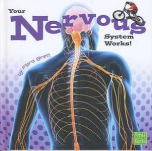 Your Body Systems: Nervous