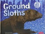 Ice Age Animals Ground Sloths