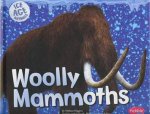 Ice Age Animals Woolly Mammoths