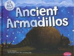 Ice Age Animals Ancient Armadillos