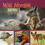 All About Animals Most Adorable Animals in the World
