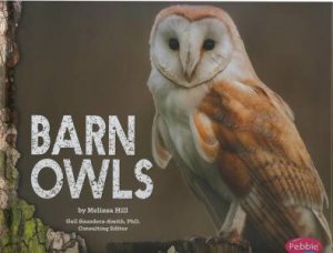 Owls: Barn Owls by Melissa Hill
