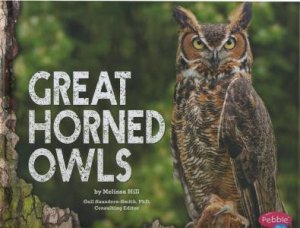 Owls: Great Horned Owls by Melissa Hill