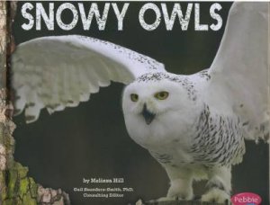 Owls: Snowy Owls by Melissa Hill