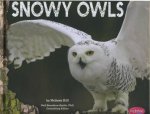 Owls Snowy Owls
