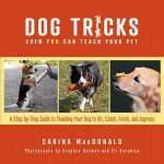 Dog Tricks Even You Can Teach Your Pet
