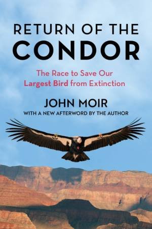 Return of the Condor by John Moir
