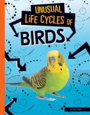Unusual Life Cycles Birds