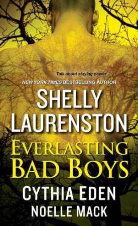 Everlasting Bad Boys by Cynthia;Laurenston, Shelly;Mack, Noelle; Eden