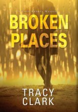 Broken Places A Chicago Mystery