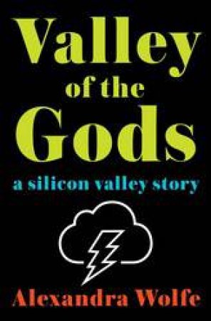 Valley Of The Gods: A Silicon Valley Story by Alexandra Wolfe