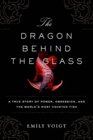 The Dragon Behind The Glass by Emily Voigt