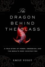 The Dragon Behind The Glass