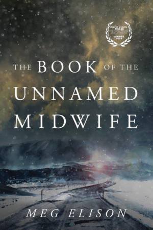 The Book Of The Unnamed Midwife by Meg Elison