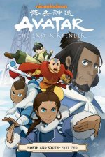 Avatar The Last Airbender North And South Part Two