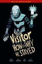 The Visitor How And Why He Stayed