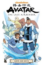Avatar The Last AirbenderNorth And South Omnibus