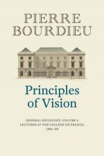 Principles Of Vision Volume 4