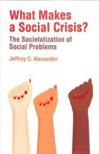What Makes A Social Crisis The Societalization Of Social Problems