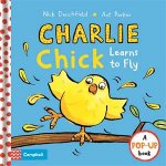 Charlie Chick Learns To Fly