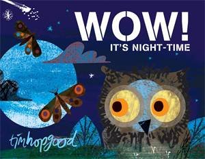 Wow! It's Night-Time by Tim Hopgood