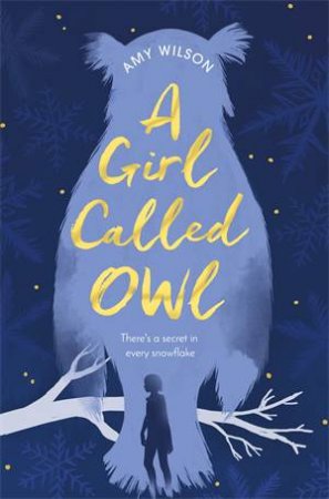 A Girl Called Owl by A J Wilson