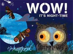 WOW! It's Night-time by Tim Hopgood