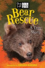 Born Free Bear Rescue