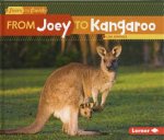 Start To Finish From Joey to Kangaroo