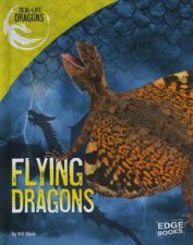 RealLife Dragons Flying Dragons