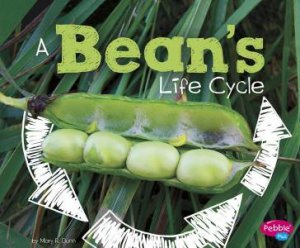 Explore Life Cycles: A Bean's Life Cycle by Mary R. Dunn