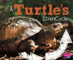 Explore Life Cycles: A Turtle's Life Cycle by Mary R. Dunn