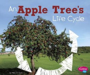 Explore Life Cycles: An Apple Tree's Life Cycle by Mary R. Dunn