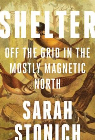 Shelter by Sarah Stonich