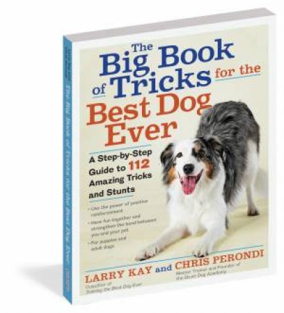 The Big Book Of Tricks For The Best Dog Ever