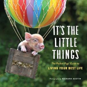 It's The Little Things by Richard Austin