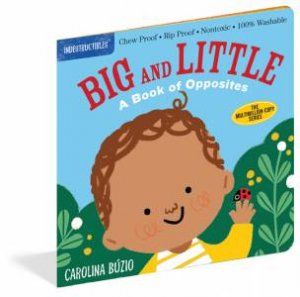 Indestructibles: Big And Little by Amy Pixton & Carolina Búzio