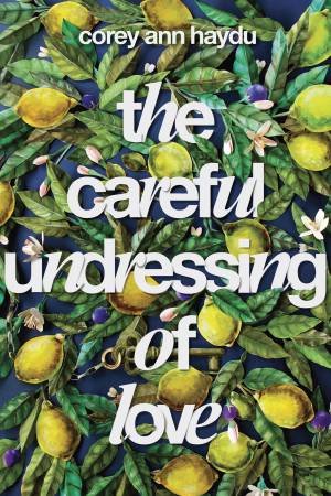 The Careful Undressing Of Love by Corey Ann Haydu